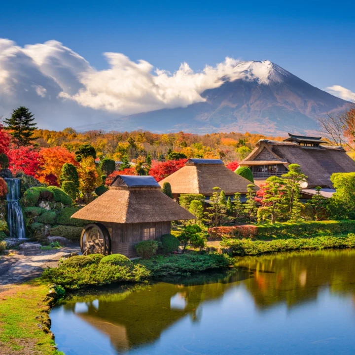 JAPONIA și COREEA de SUD